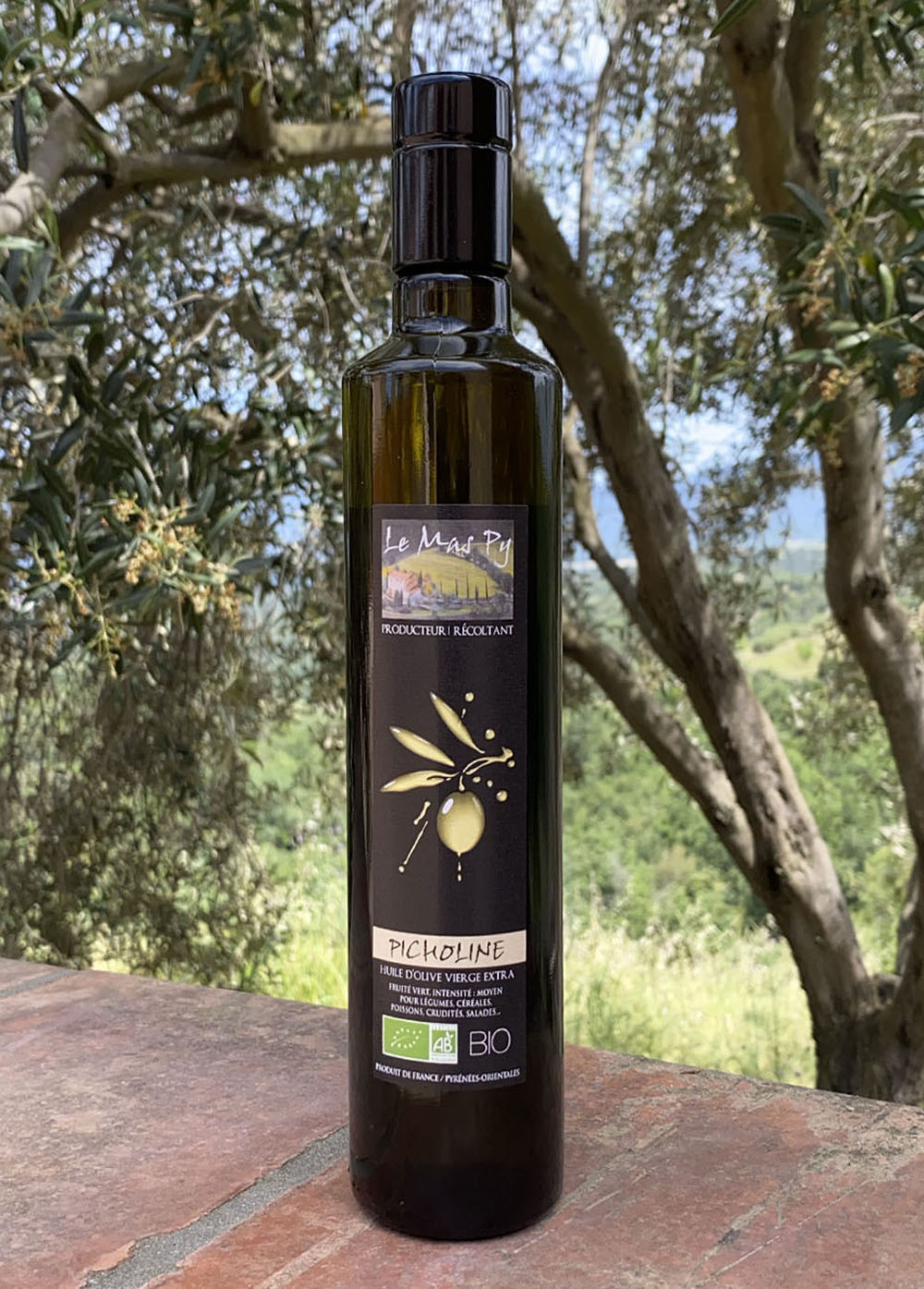 Huile-olive-Picholine-2025-le-mas-py-050l